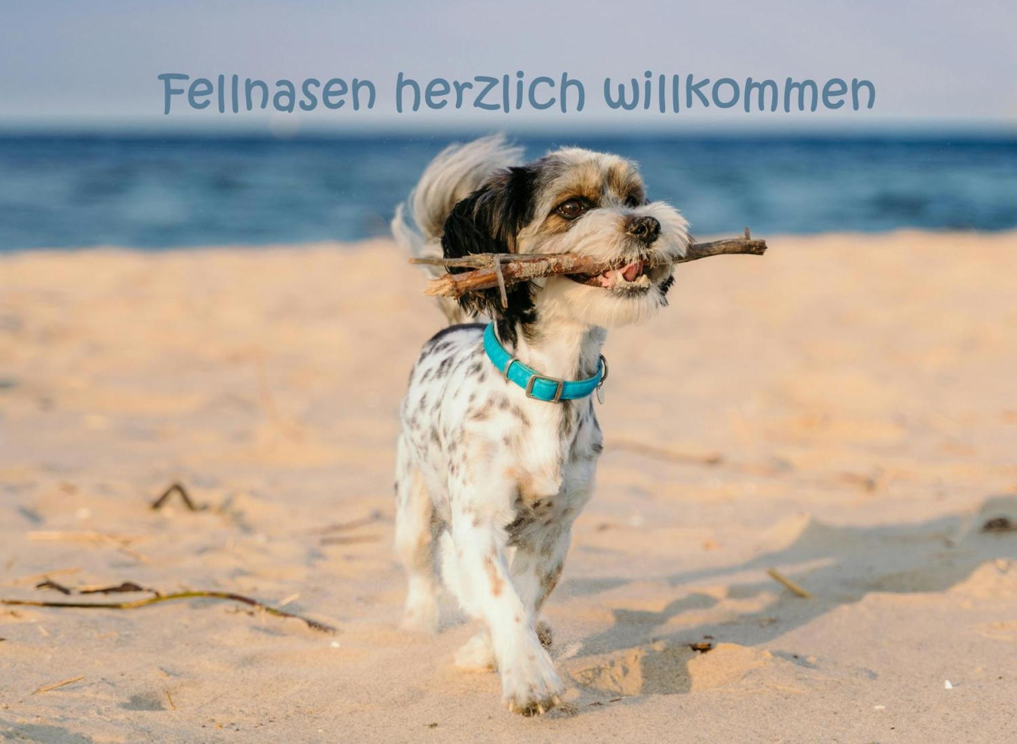 Hafensuite Ipura Vida! - Fuer Leben-Geniesser Kappeln Exteriör bild